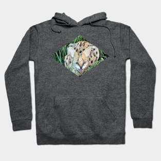 Low Poly Snarling Serval Hoodie